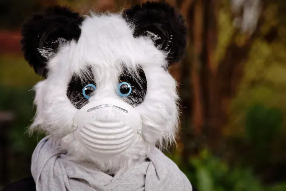 Pronto Casino Support